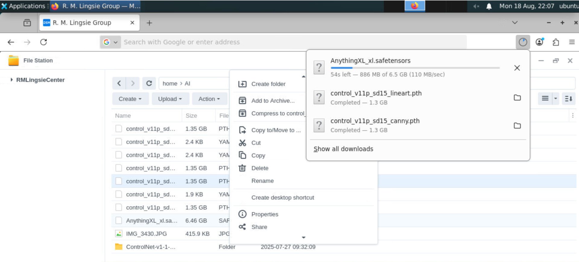 In-container browser and model downloads