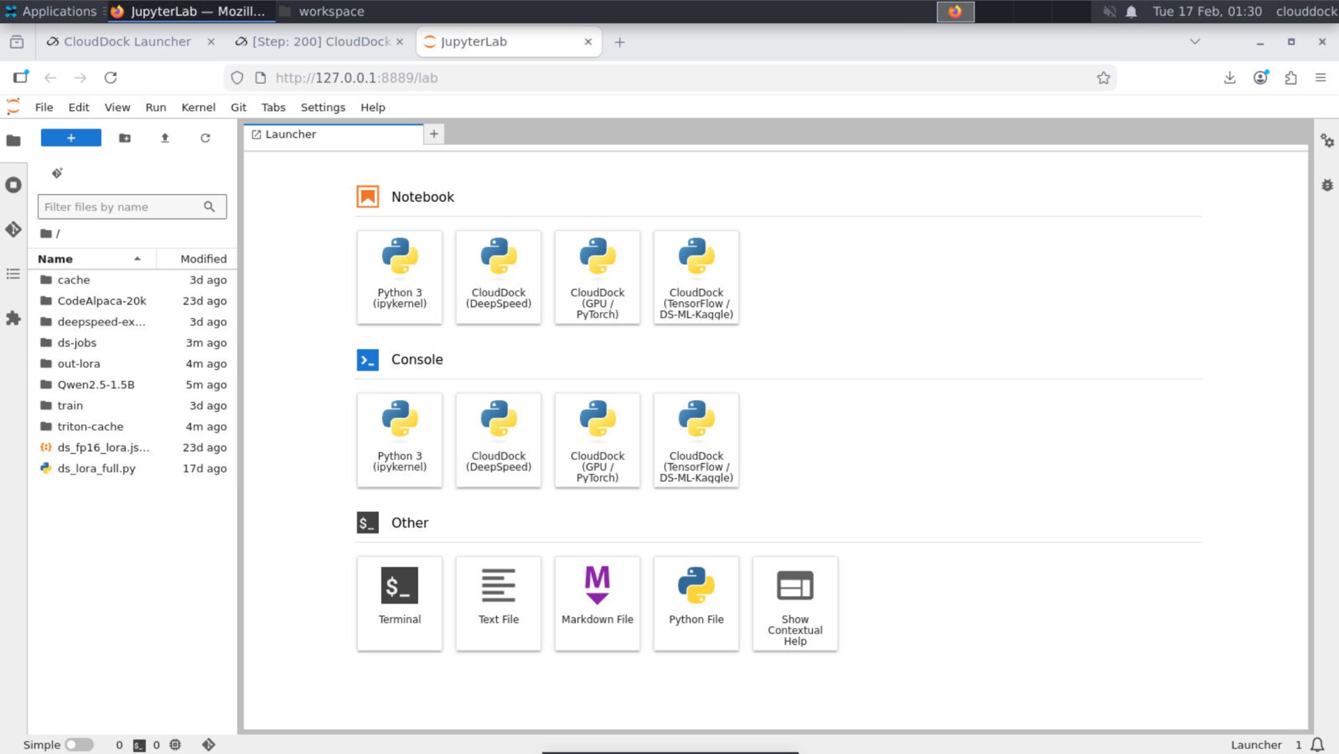 JupyterLab kernel selection: PyTorch venv vs TensorFlow kernel